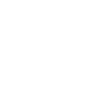 saguaros_white